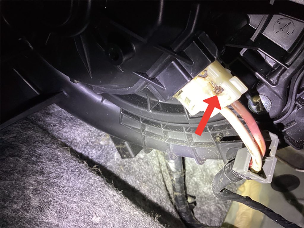 Blower motor connector and connector inlet burnt together.
